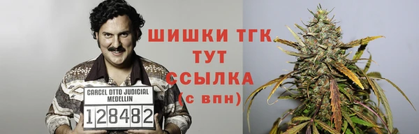 PSILOCYBIN Вяземский
