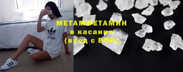 PSILOCYBIN Вяземский