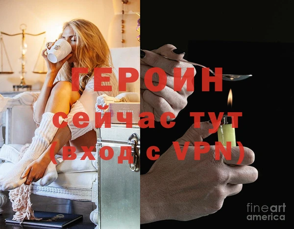 PSILOCYBIN Вяземский