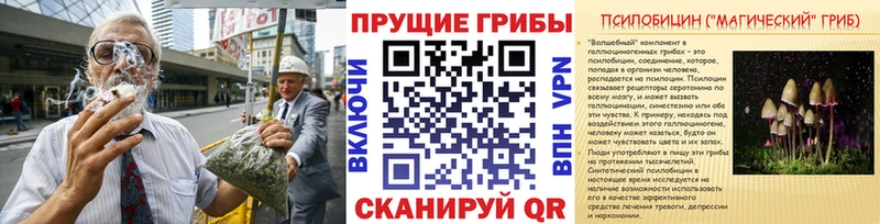 как найти наркотики  Нязепетровск  Псилоцибиновые грибы ЛСД 